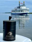 Top Zingst
