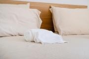 Ocean Breeze Suite l
