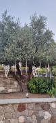 Top Statos and Ayios Photios