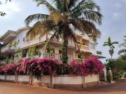 Top Dona Paula