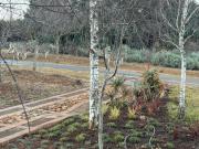 Top Dullstroom
