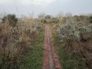 Top Dullstroom