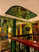 Top Playa del Carmen
