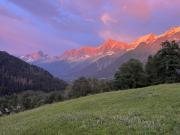 Top Les Houches