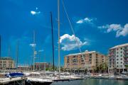 Top Savona