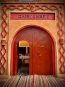 Riad camels house