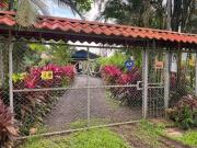 Top Sarapiquí