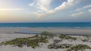 Top Playa Encanto