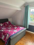 Top Newtownabbey