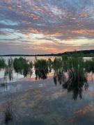 Top Canyon Lake