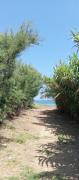 Top Brindisi