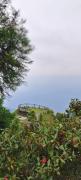 Top Kalimpong