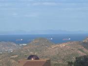 Top Turre