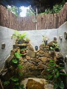 Top Mananthavady