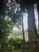 Top Mananthavady