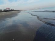Top Pellestrina