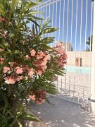 Top Fontvieille