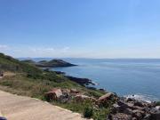 Top The Mumbles