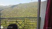 Top Dharampur