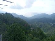 Top Dharampur