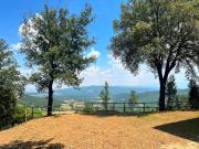 Top Monticiano