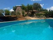 Top Monticiano