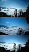 Forest House Ta Xua
