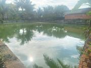 Top Buôn Kao