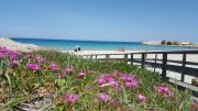 Casa Vacanza 6 posti San Foca
