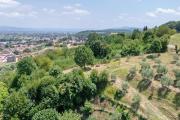 Top Anghiari