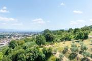 Top Anghiari