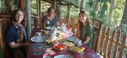 Green Heaven Lodge