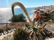 Top Dehesa de Campoamor