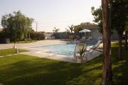 Top Arenella