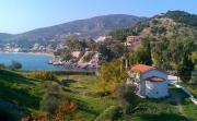 Top Asini