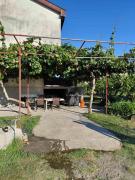 Kiwi house