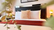 The Central Nest - 1BR Steps from Romanian Athenaeum