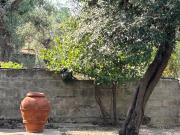 Top Massaciuccoli
