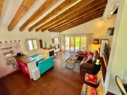 Andalusian country house among olive trees