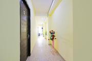 Top Faridabad