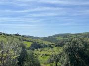 Top Casares