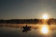 Top Vissefjärda