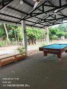Top Iba