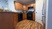 Top Edmonton