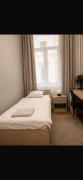 Paulay central stay