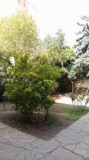 Top Mendoza