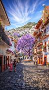 Top Taxco de Alarcón