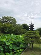 坂本龍馬
