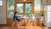 Hongcheon Lime Orange Pension