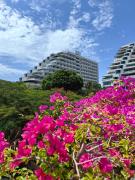 Top Pattaya South